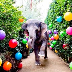 Meet your Posher, Charissa